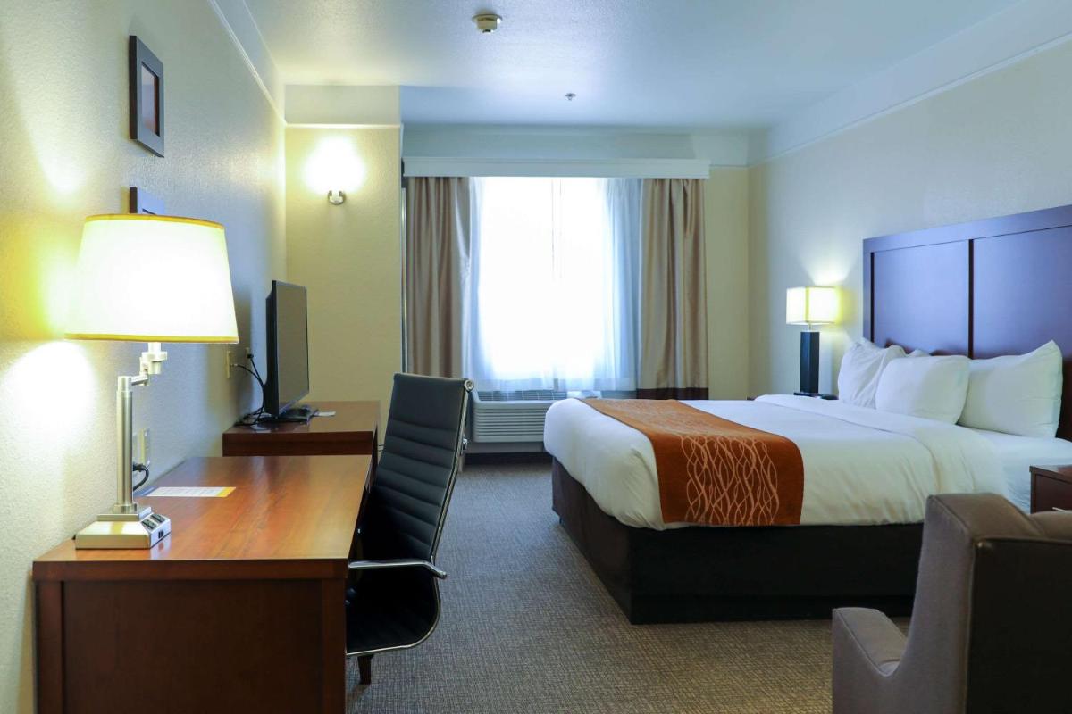 Comfort Inn and Suites Odessa - image 6