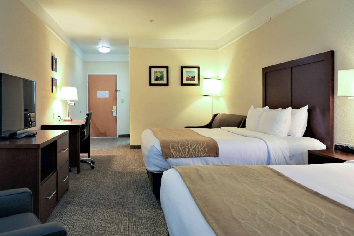 Comfort Inn and Suites Odessa - image 7