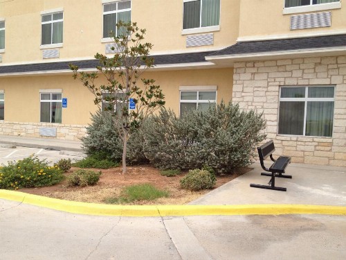 Super 8 by Wyndham Odessa TX - image 2