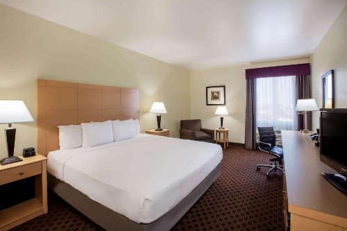 La Quinta by Wyndham Odessa North - image 9