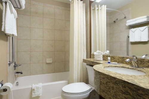 Microtel Inn & Suites by Wyndham Odessa TX - image 3