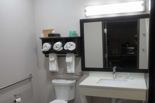MainStay Suites - image 12