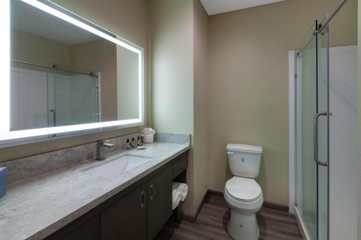 Hawthorn Suites By Wyndham Odessa - image 4