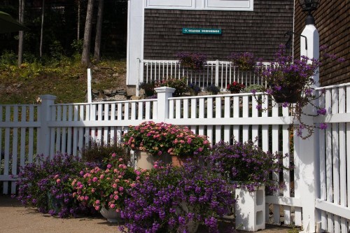 Sea View Motel - image 14