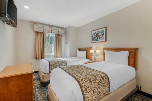 Meadowmere Resort - image 27