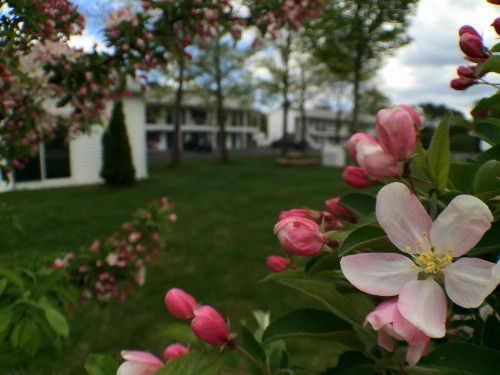Ocean Acres Motel - image 26