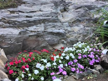 Black Boar Inn Ogunquit - image 7