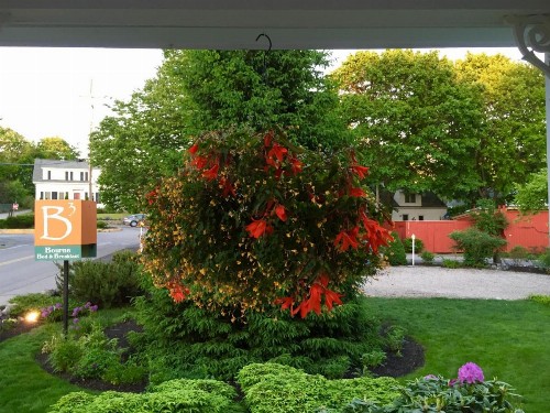 Bourne Bed and Breakfast - image 39