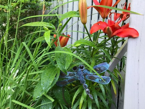 Dragonfly Guest House - image 17