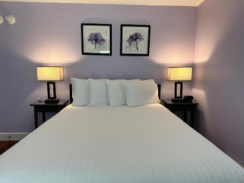 Dragonfly Guest House - image 31