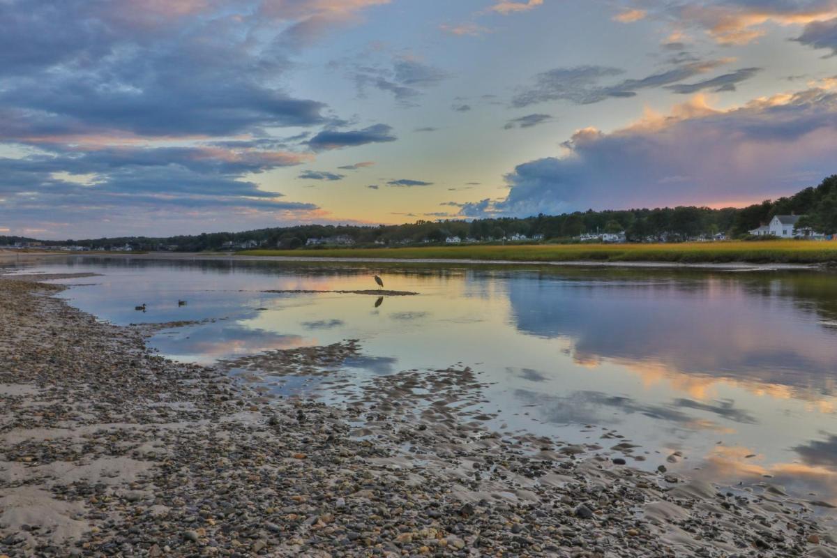 Riverbank - image 3
