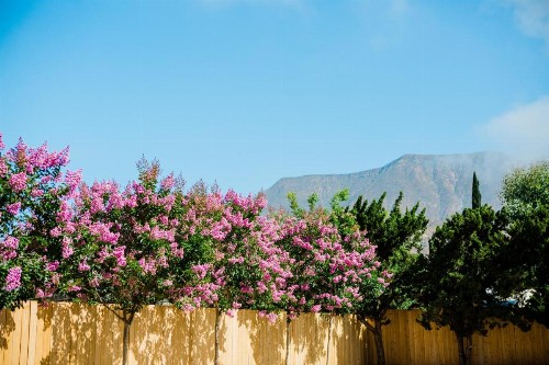 Casa Ojai Inn - image 37