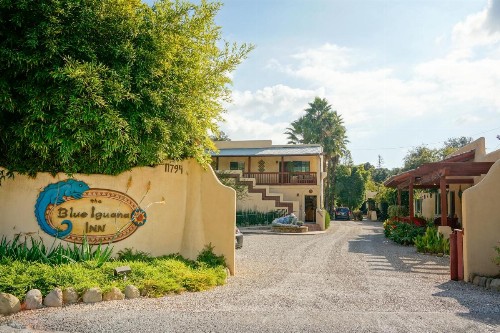 Blue Iguana Inn - image 14