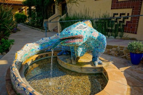 Blue Iguana Inn - image 15