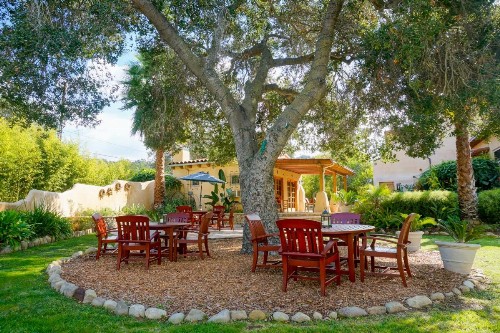 Blue Iguana Inn - image 17