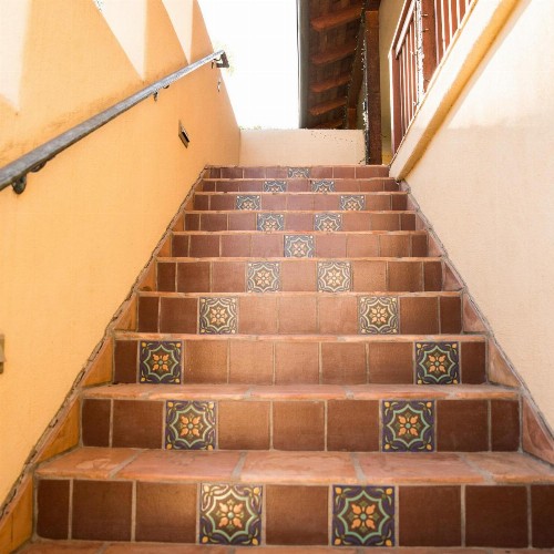 Blue Iguana Inn - image 43