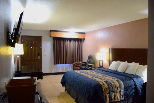 Flamingo Motel - image 9