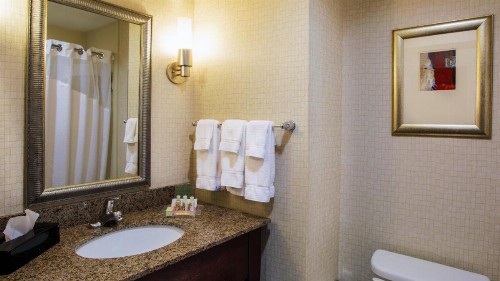 Holiday Inn Oklahoma City Airport an IHG Hotel - image 26