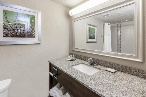 Holiday Inn Hotel & Suites Oklahoma City North an IHG Hotel - image 10