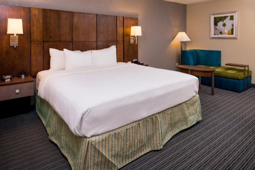Holiday Inn Hotel & Suites Oklahoma City North an IHG Hotel - image 3