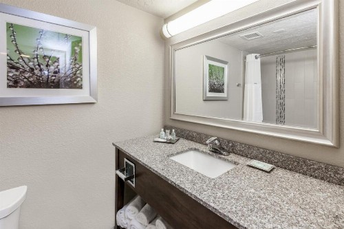 Holiday Inn Hotel & Suites Oklahoma City North an IHG Hotel - image 4