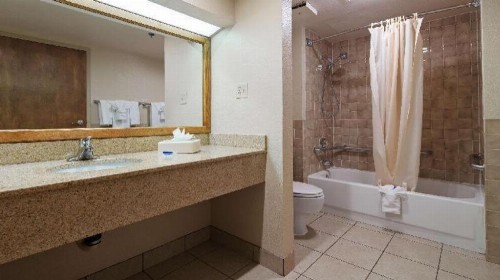 Best Western Plus Saddleback Inn and Conference Center - image 31