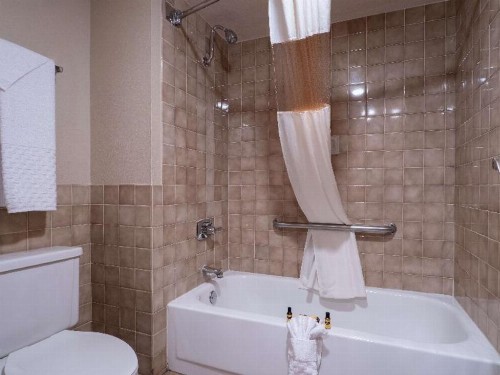 Best Western Plus Saddleback Inn and Conference Center - image 33