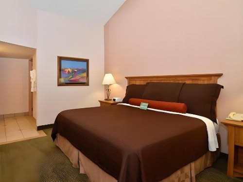 Best Western Plus Saddleback Inn and Conference Center - image 40