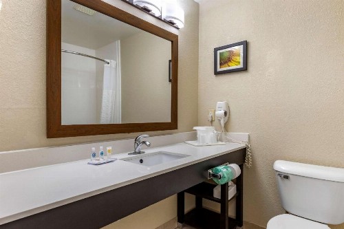 Comfort Inn Oklahoma City - image 12