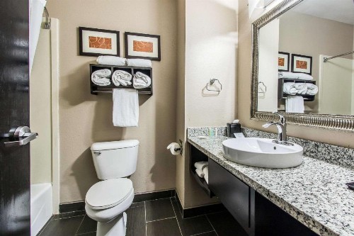 Comfort Suites Fairgrounds West - image 13