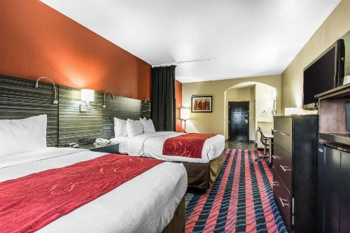 Comfort Suites Fairgrounds West - image 3