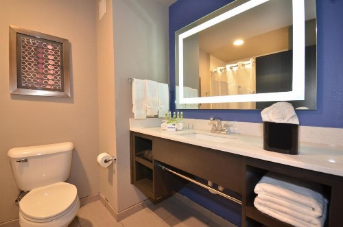 Holiday Inn Express & Suites Oklahoma City Mid - Arpt Area an IHG Hotel - image 9