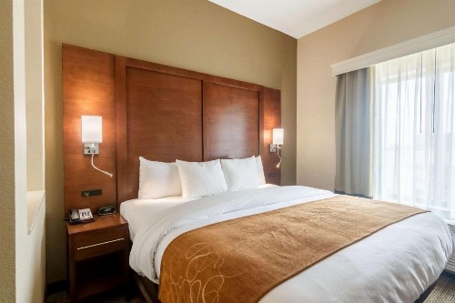 Comfort Suites Airport on Meridian - image 15