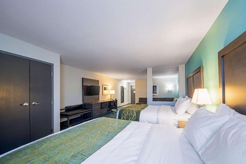 Comfort Inn & Suites - image 5