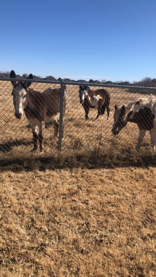 Orr Family Farm & RR LLC - image 40