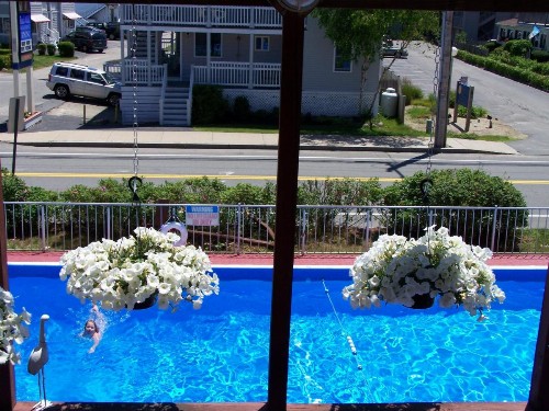 Sea Drift Motel - image 21