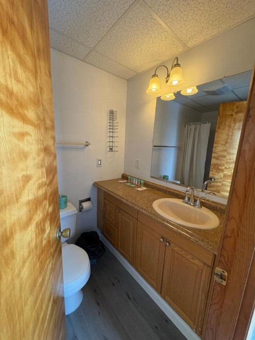 Green Dolphin Motel - image 22