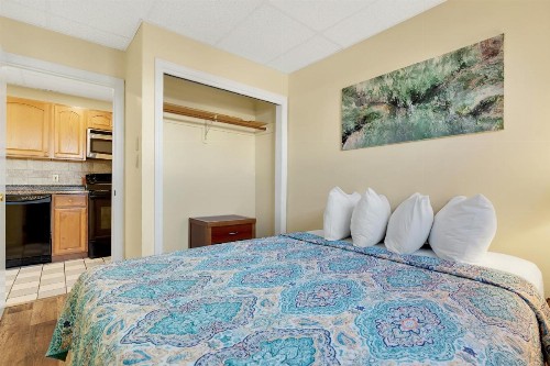 Abellona Inn & Suites - image 38