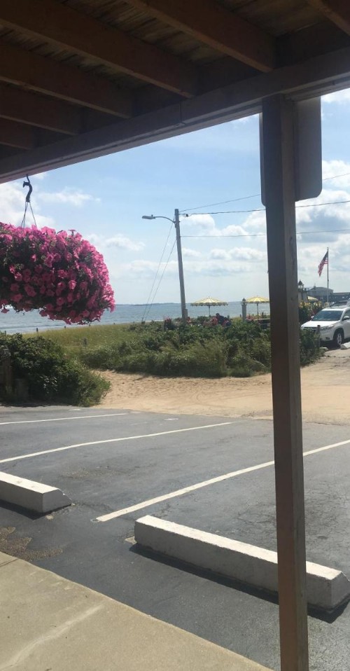 The Skylark Beach Inn - image 18