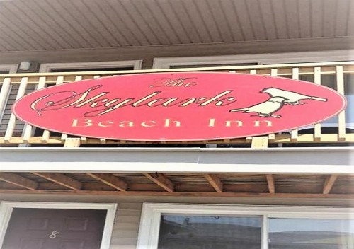 The Skylark Beach Inn - image 2