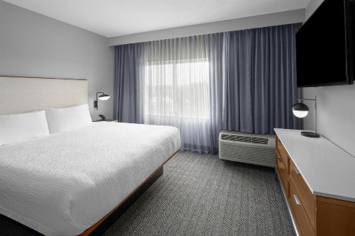 Courtyard Tampa Oldsmar - image 16