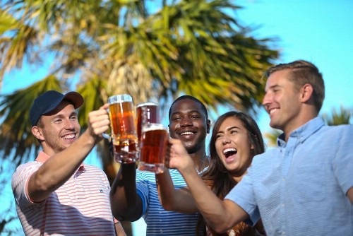 Holiday Inn Express Hotel & Suites Tampa-Oldsmar an IHG Hotel - image 13