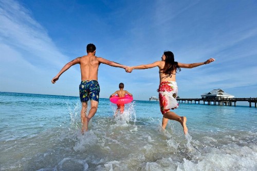 Holiday Inn Express Hotel & Suites Tampa-Oldsmar an IHG Hotel - image 14