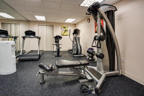 Holiday Inn Express Hotel & Suites Tampa-Oldsmar an IHG Hotel - image 16