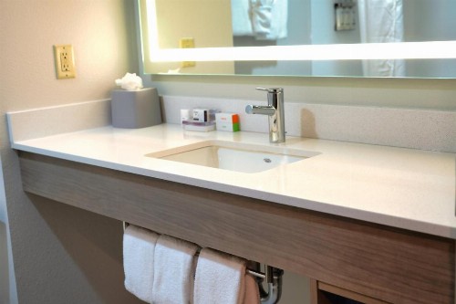Holiday Inn Express Hotel & Suites Tampa-Oldsmar an IHG Hotel - image 24