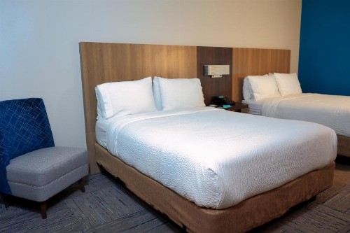 Holiday Inn Express Hotel & Suites Tampa-Oldsmar an IHG Hotel - image 28