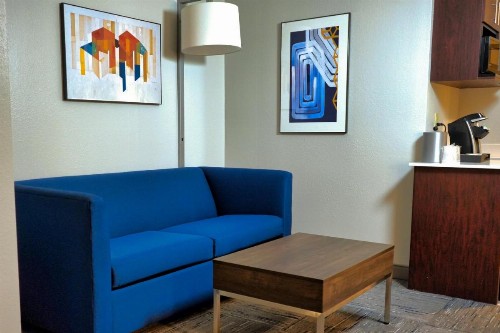 Holiday Inn Express Hotel & Suites Tampa-Oldsmar an IHG Hotel - image 34