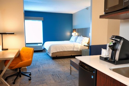 Holiday Inn Express Hotel & Suites Tampa-Oldsmar an IHG Hotel - image 37