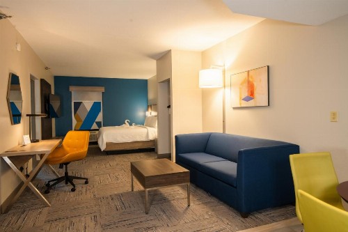 Holiday Inn Express Hotel & Suites Tampa-Oldsmar an IHG Hotel - image 43