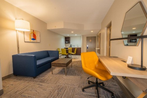 Holiday Inn Express Hotel & Suites Tampa-Oldsmar an IHG Hotel - image 48